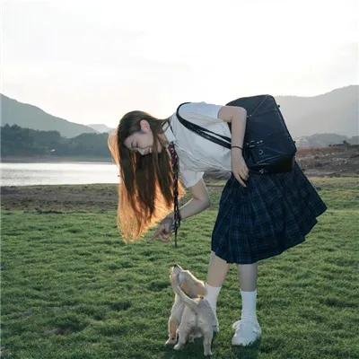 飞鹰